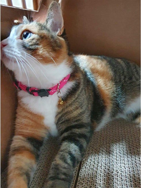 Pet's Company 4 Pack Adjustable Breakaway Cat Collar with Bell, Cute Pattern Collars for Kittens (Pink, 7-11 Inches)