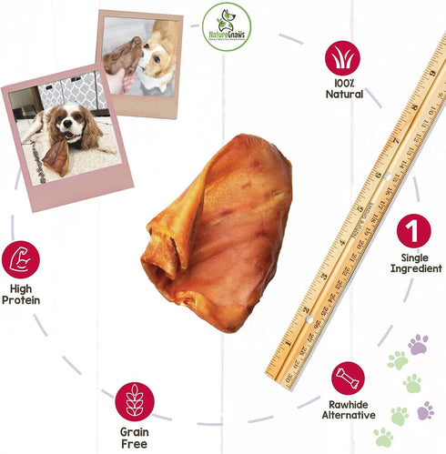 Nature Gnaws Pig Ears for Dogs - Premium Natural Pork Dental Chews - 8 Count Rawhide Free Dog Chew Treats for