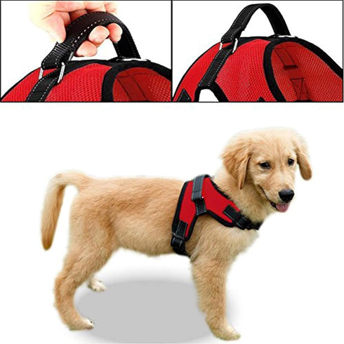 No Pull Reflective Adjustable Dog Harness with Handle, Comfortable Soft Mesh, Easy On for Small Medium Large Dogs (Red)