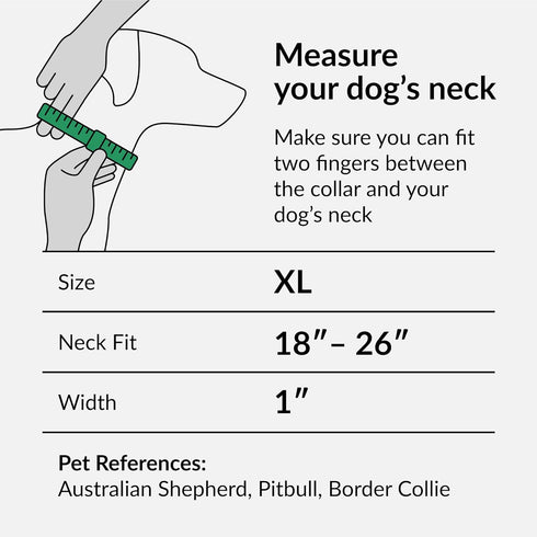 CollarDirect Aztec Dog Collar, Adjustable Nylon Tribal Pattern Pet Collar for Small Medium Large Dogs (Aztec Sunset)