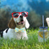 Maca Bates Summer Lemon Dog Collar with Bow Tie, Adjustable Breakaway Bows for XS to XL Dogs, Birthday Gift