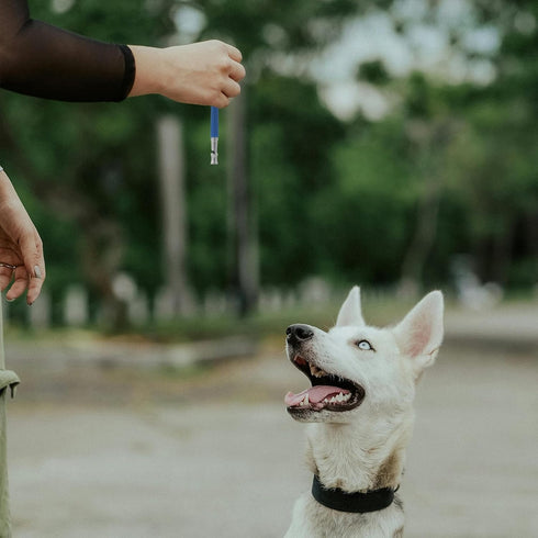 Mipcase Dog Whistle to Stop Barking, Adjustable Whistle for Dog Training