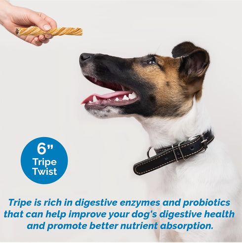 Beef Tripe Sticks for Dogs, 6" - 25 Count, All Natural Dog Treats from Free Range, Grass Fed Beef