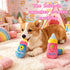 XWTMIM 2 Pack, Plush Dog Bottle Squeaky Toy for Dogs, Small Dog Toys Toy for Small Breed