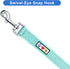 Pawtitas 6 FT Reflective Dog Leash - Comfortable Handle, Heavy Duty for Small Dogs, Teal