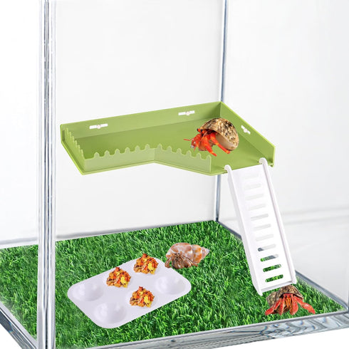 TTFdacai Hermit Crab Accessories - Platform with Ladder and Food Dish Hermit Crab Habitat Accessories Hermit Crab
