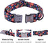 Lionheart Glory Floral Print Dog Collar, Adjustable Soft Collar for X-Small Dogs, Blue Spring Design
