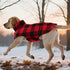 ASENKU Dog Winter Coat - Fleece Doggie Jacket Plaid Reversible Vest, Waterproof Windproof Cold Weather Clothes for