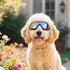 NAMSAN Dog Goggles, Anti-UV Sunglasses for Medium to Large Breeds, Windproof Eye Protection, Black