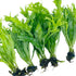 Generic 5X Java Fern Windelove Microsorum Pteropus Looses Aquarium Live Plant for Fish Tank Decoration