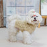 Turtleneck Small Dog Sweaters - Classic Cable Knitwear Winter Coat for Small Medium Dogs, Cream, Size S