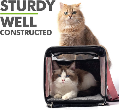 EXPAWLORER Cat Carrier Large, Soft-Sided Top Load Travel Carrier for Medium Cats Under 25, Airline Approved