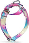 Martingale Dog Collars, Colourful Oil Painting Pattern Series, No Pull Pet Collar for Medium and Large Dogs (Small, 5/8