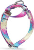 Martingale Dog Collars, Colourful Oil Painting Pattern Series, No Pull Pet Collar for Medium and Large Dogs (Small, 5/8