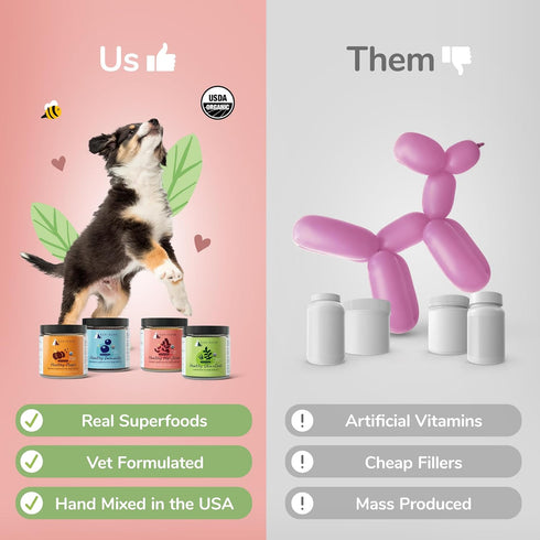 kin+kind Hip+Joint Supplement for Dogs & Cats, Vet Formulated Natural Formula with Organic Turmeric, Black Pepper,