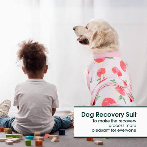 Kuoser Recovery Suit for Dogs Cats - After Surgery Professional Pet Recovery Shirt, Prevent Licking