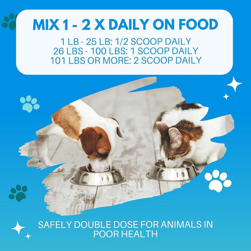 Bio-Active Bovine Colostrum Powder Supplement for Dogs, Cats, Puppies, Kittens & Pets - 240g (480 Servings)