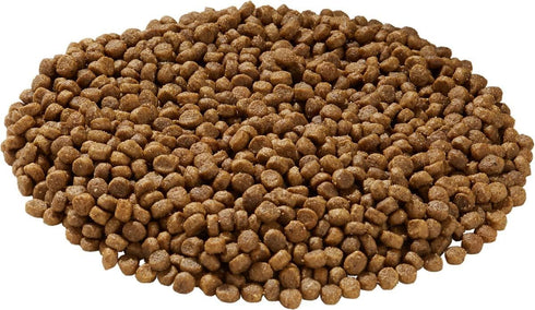 Health Extension Little Bites Dry Dog Food, Natural with Added Vitamins & Minerals, Chicken & Brown Rice Recipe, 10