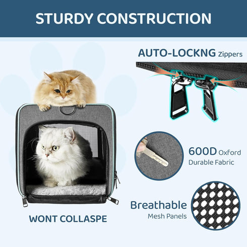 Cat Carrier American, Airline Approved Soft-Sided Pet Travel Bag for Medium Cats 15+ lbs, Small Dogs Under 15 Pounds