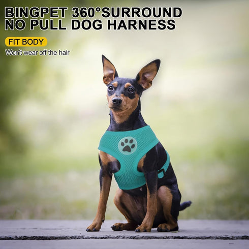 BINGPET No Pull Dog Harness, All Weather Mesh Step-in Vest for Small Dogs, Breathable Mesh Puppy & Cat Harness