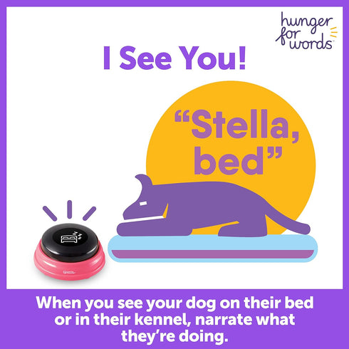 Hunger For Words Talking Pet Next Words Locations - 3 Piece Set of Recordable Speech Buttons for Dog Communication