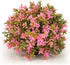 BiOrb 46088.0 Flower Ball - Pink Aquariums Decoration
