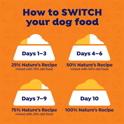 13 oz. (Pack 12) Natures Recipe Grain Free Wet Dog Food Beef, Sweet Potato, and Pumpkin Recipe, Can