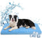 InVarme Orthopedic Dog Cooling Mat 36" x 20": Extra-Thick Self-Cooling with Removable Memory