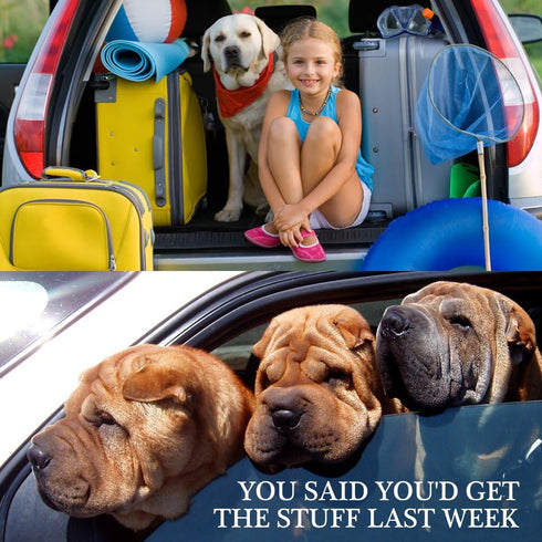 YuCool Dog Seat Belt, 4 Piece Set Adjustable Nylon Car Safety Harness for Dogs, Heavy Duty & Elastic