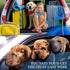 YuCool Dog Seat Belt, 4 Piece Set Adjustable Nylon Car Safety Harness for Dogs, Heavy Duty & Elastic