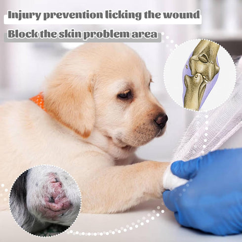 ROZKITCH Dog Surgery Recovery Sleeve - Front Leg Elbow Brace Protector, Cone Collar Alternative for Joint Care (Grey S)