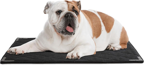 BALAPET XS Durable Chew Proof Dog Bed, 23"x17" with Metal Rivet Corner