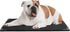 BALAPET XS Durable Chew Proof Dog Bed, 23"x17" with Metal Rivet Corner