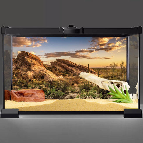 AWERT 36x18 inches Terrarium Background, Blue Sky Oasis Cactus Sun and Desert for Reptile Habitat Polyester