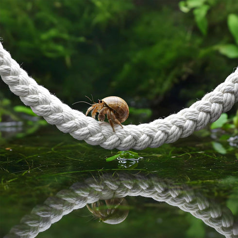 Tweruna 2 4 PCS Hermit Crab Climbing Toys, Hanging Hermit Crab Climbing Rope with Hooks, Reptile Tank Terrarium Toys