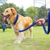Heavy Duty Dog Collar and Leash Set, Strong 4 FT Nylon Braided Rope Dog Leash for Small Medium Large Dogs