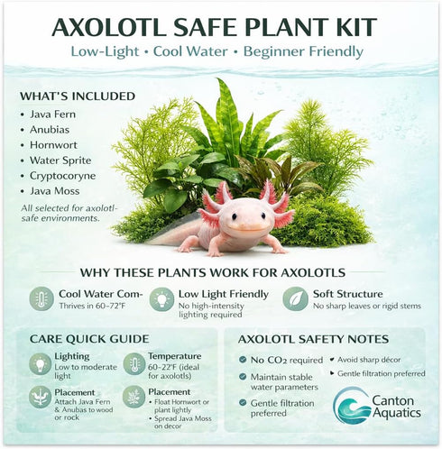 3 CO2 (3) Axolotl Live Plants Bundle - Species Starter Kit | Java Fern, Hornwort & Water Sprite - Cold Water Safe, No