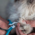 Trimmers, Mr. Pen- Cat Nail Clipper, Pet Nail Kitten Claw Clippers, Easy to Use, Precision and Sharp Cut