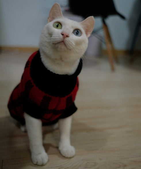 Turtleneck Dog Argyle Sweater for Medium Dogs