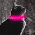 BSEEN Light Up Dog Collars, Rechargeable Glowing LED Collar for Small Dogs & Cats (Pink)