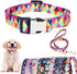 Dog Collar and Leash Set, Colorful Geometric Triangle Print for Small Medium Large Breed Female Dogs Girls, M