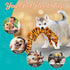 Chesk 5 Pack Squeaky & Crinkle Dog Toys - No Stuffing Plush Chews for Small Medium Large Breed Chewers