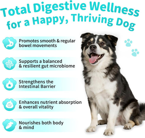 10B 5 5 90 Count Probiotics for Dogs, Digestive Enzymes & Pumpkin Fiber for Gut Health and Bowel Support, Dog