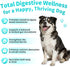 10B 5 5 90 Count Probiotics for Dogs, Digestive Enzymes & Pumpkin Fiber for Gut Health and Bowel Support, Dog