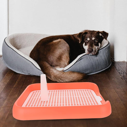 17.7x14x2 Inches ULTECHNOVO Mesh Dog Toilet Tray Lightweight Anti-Slip Easy Clean Removable Mesh Top for Indoor Puppy