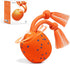 Cheerble Smart Interactive Dog Toy, Wicked Ball Rolly, Automatic Moving, Bouncing, Rotating,