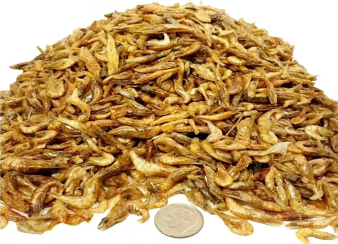 Aquatic Foods Inc. 5oz. 1/2'' 1&1/4'' 5oz Freeze Dried Red Shrimp to for Tropical Fish, Marine Large Cichlids, Koi
