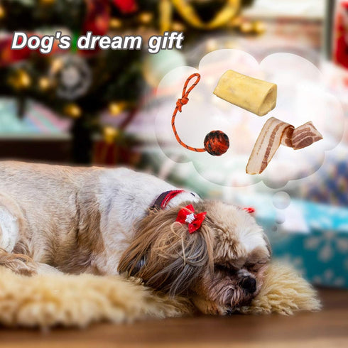 K9 Training Ball with Rope, Indestructible Dog Toy Ball with Handle for Training and Fetching