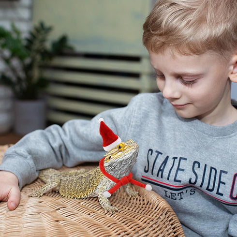 2 Pack Christmas Bearded Dragon Lizard Hat and Scarf, Small Animal Guinea Pig Christmas Costume Clothing (2A-Red)