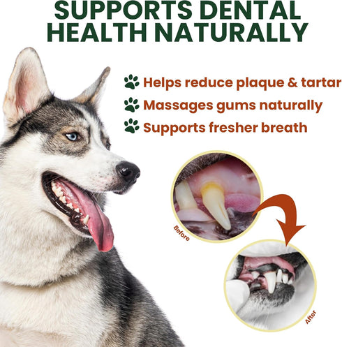 5 Pack 6 Inch Beef Cheek Rolls for Dogs Digestible Rawhide Alternative Chews, Long Lasting Dental Treats, Single